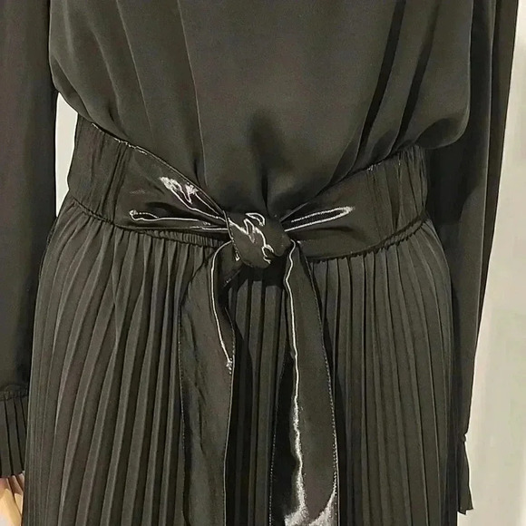 Wild firn maxi dress pleated skirt - Picture 5 of 8